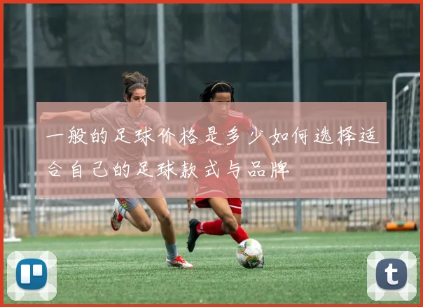 一般的足球价格是多少如何选择适合自己的足球款式与品牌