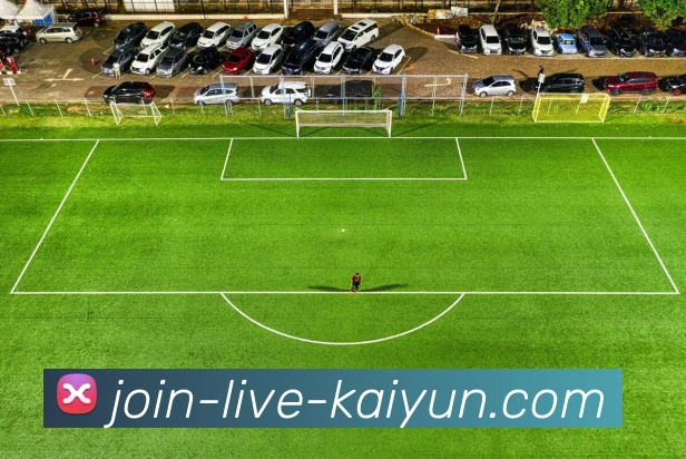 开云平台生态图